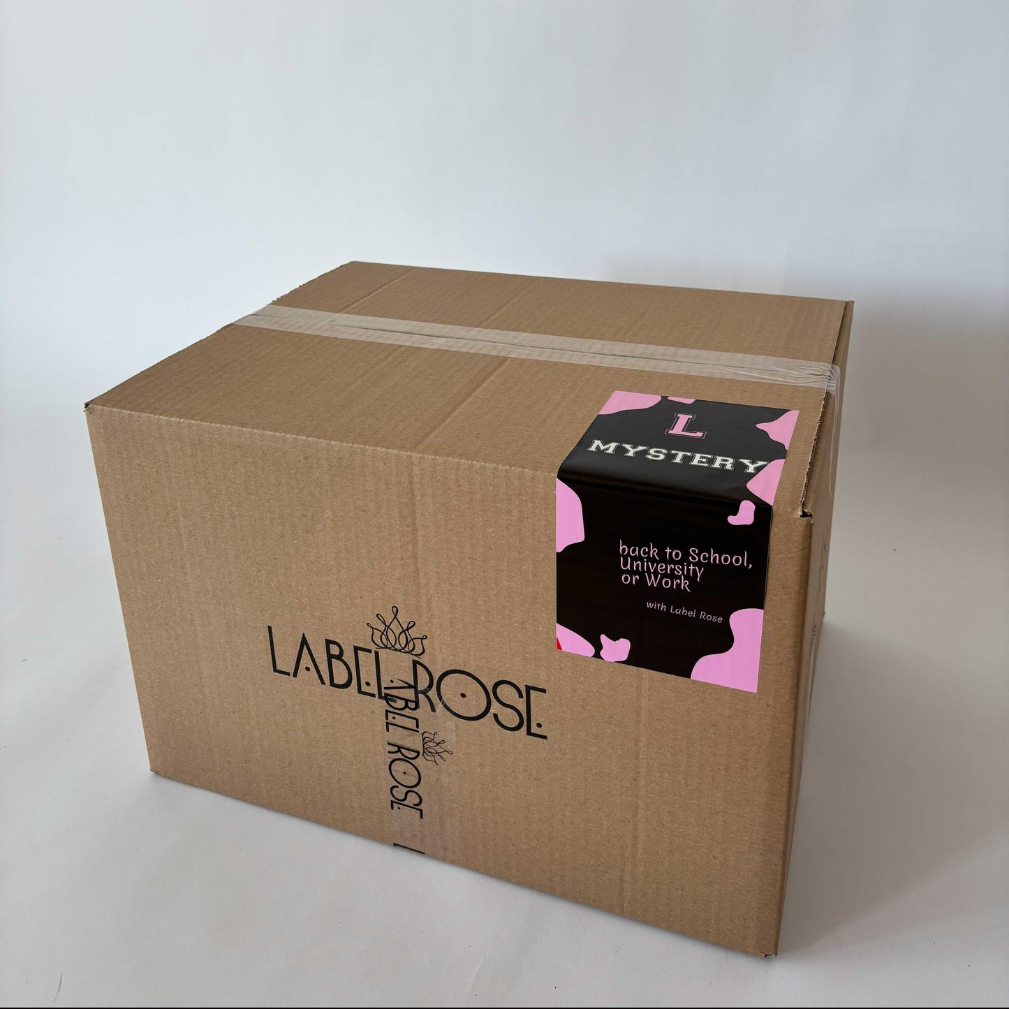 MYSTERY BOX BACK TO SCHOOL BACK TO WORK - L
