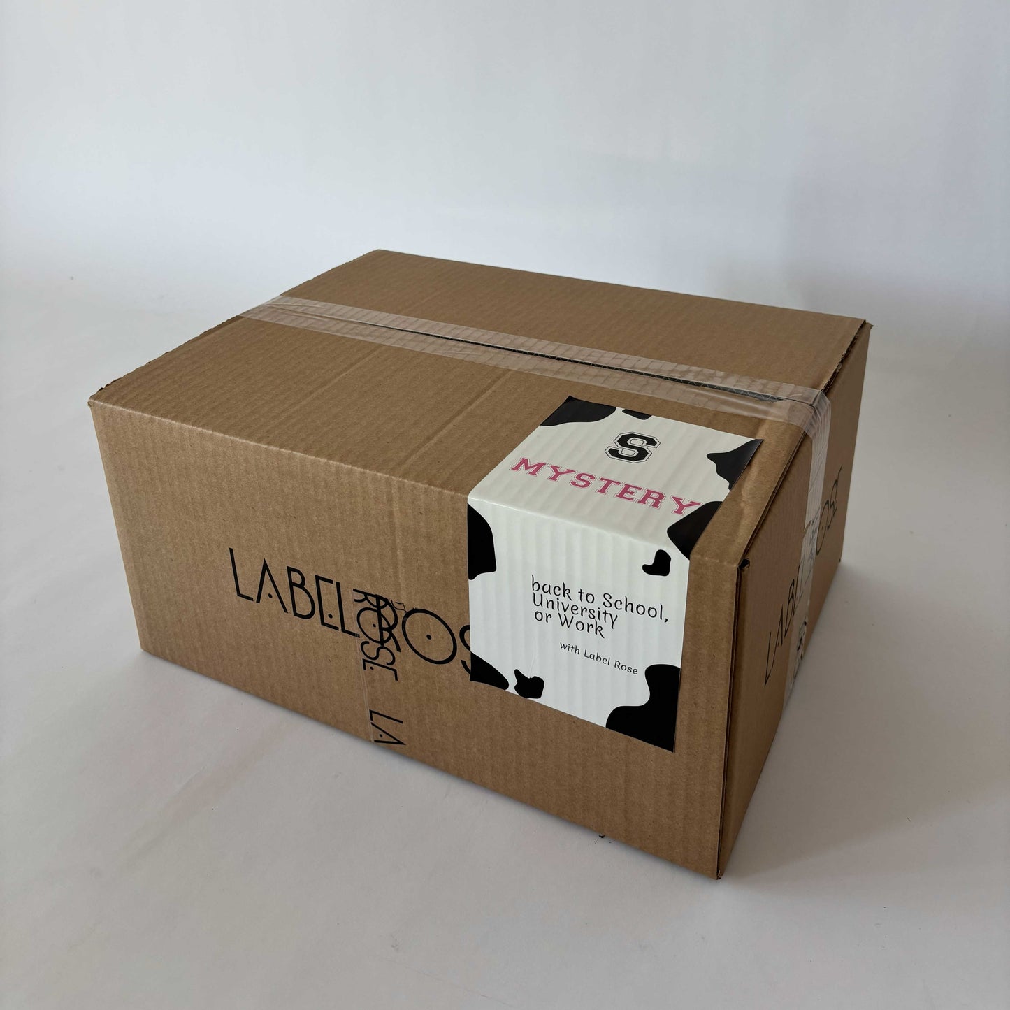 MYSTERY BOX BACK TO SCHOOL BACK TO WORK - S