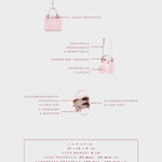 Bolso de mano MARGOT SMALL 30.05 LE - ROSA BRILLANTE - PREVENTA
