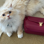 GWYNETH Shoulder Bag - MAUVE
