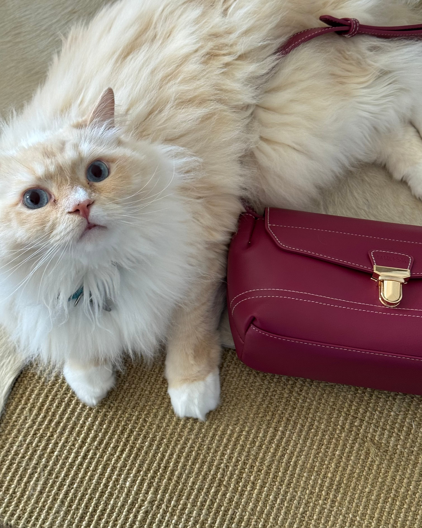 GWYNETH Shoulder Bag - MAUVE