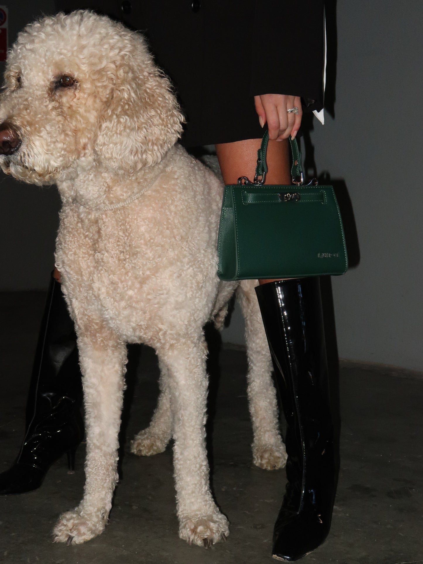 Borsa a mano PARIS MINI - EMERALD NIGHT