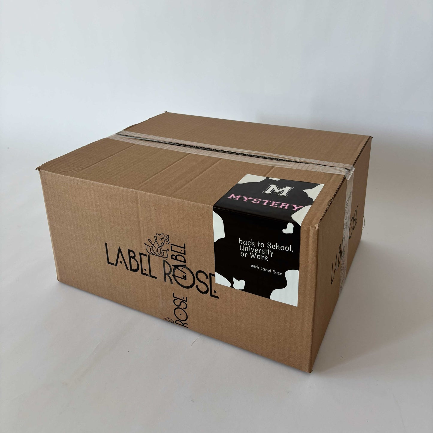 MYSTERY BOX BACK TO SCHOOL BACK TO WORK - M