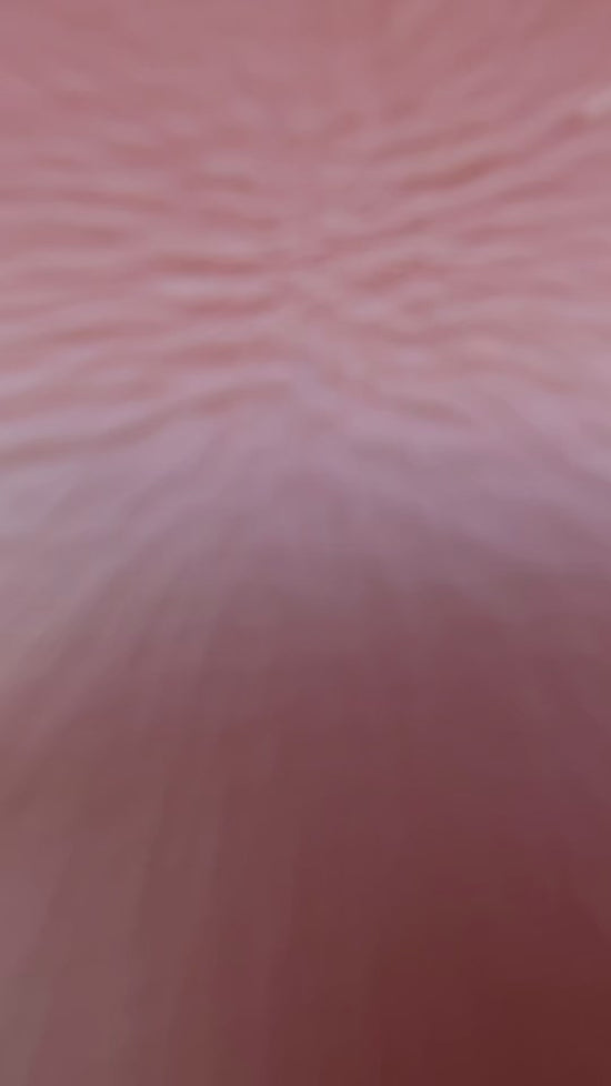 Cargar y reproducir el video en el visor de la galería, Borsa a mano MARIGOLD - LIGHT BROWN
