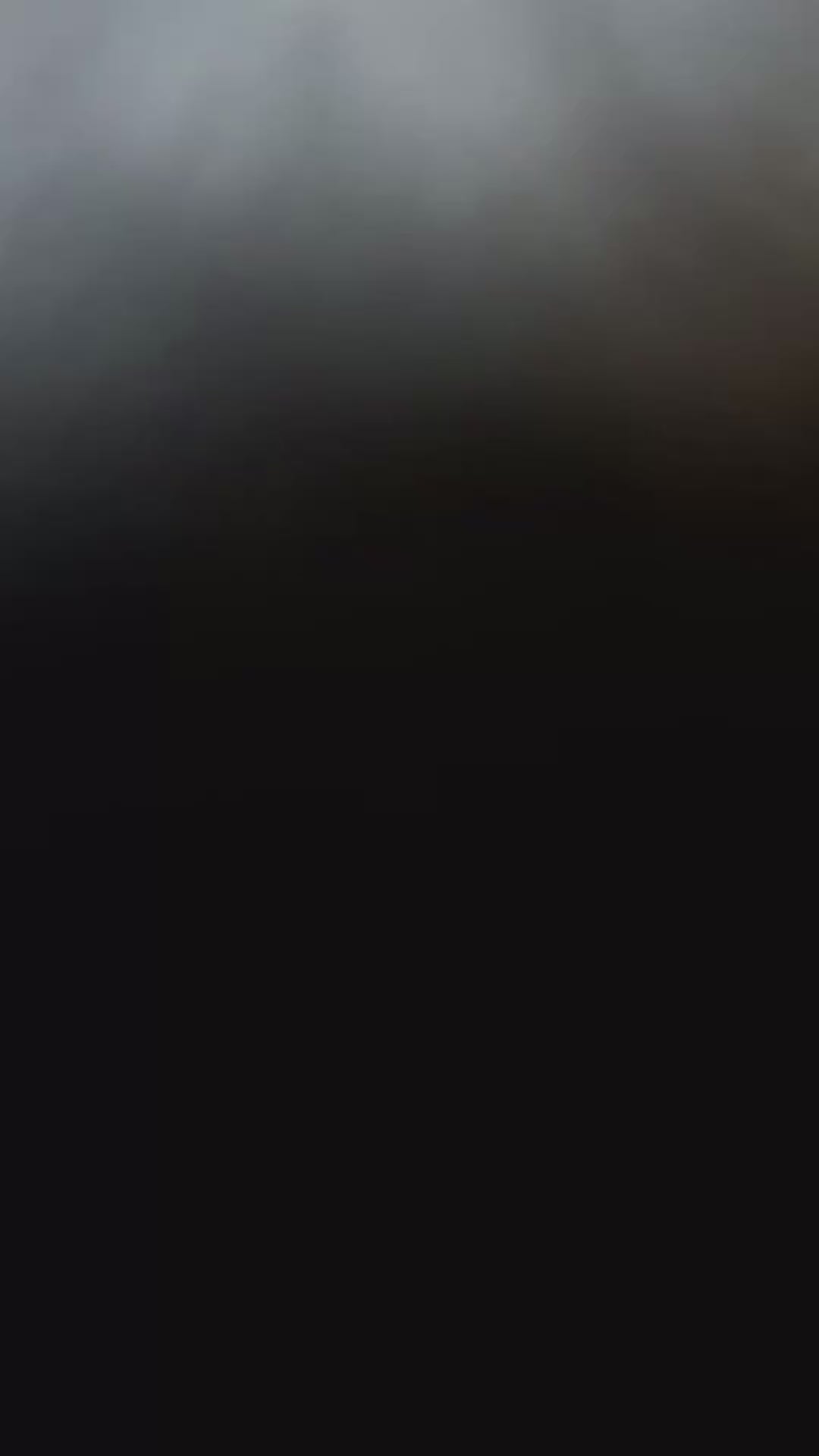 Cargar y reproducir el video en el visor de la galería, Borsa a spalla DANI- BLACK SILVER
