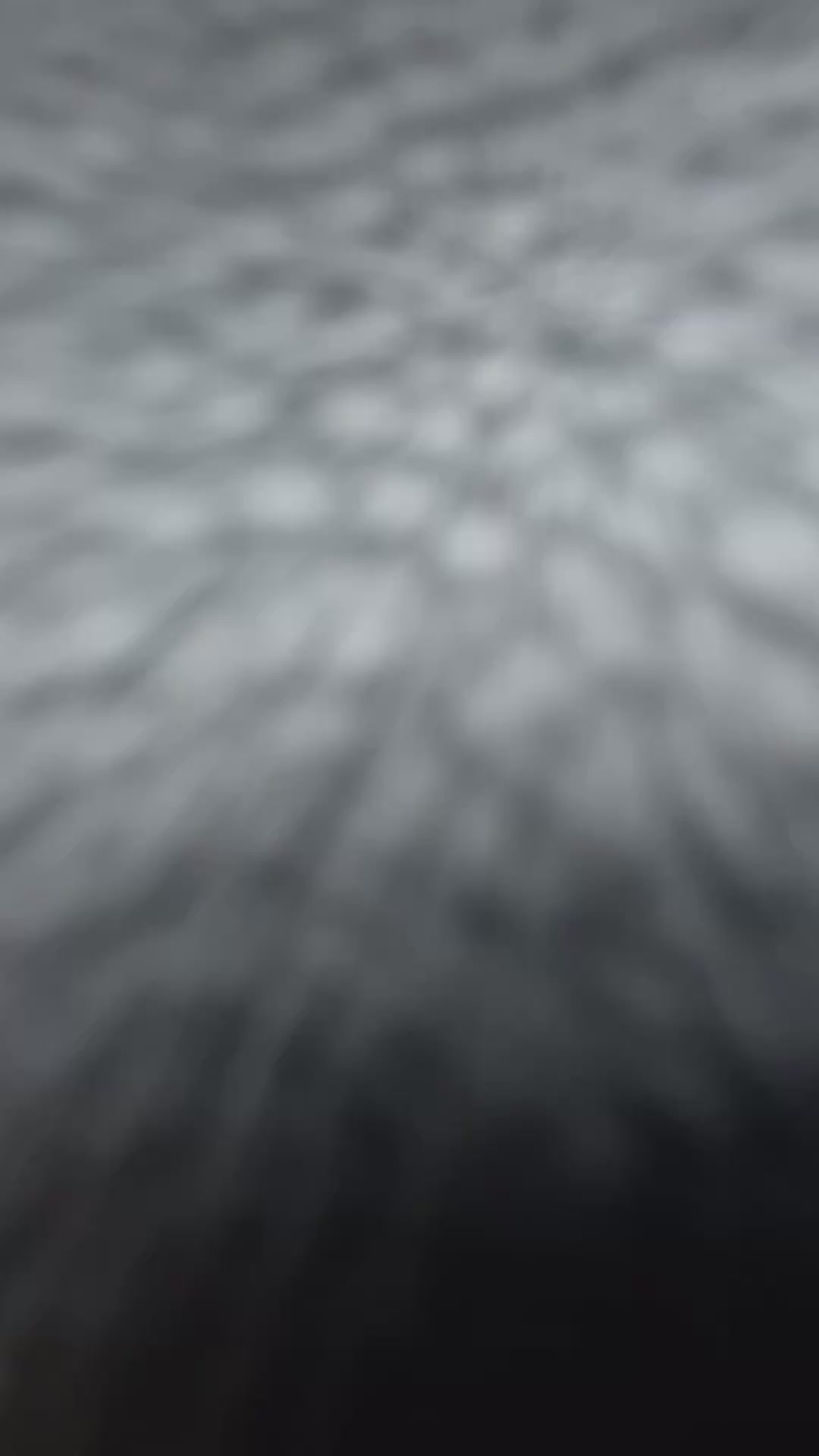 Load and play video in Gallery viewer, BROOKE Shoulder Bag - BLACK GOLD
